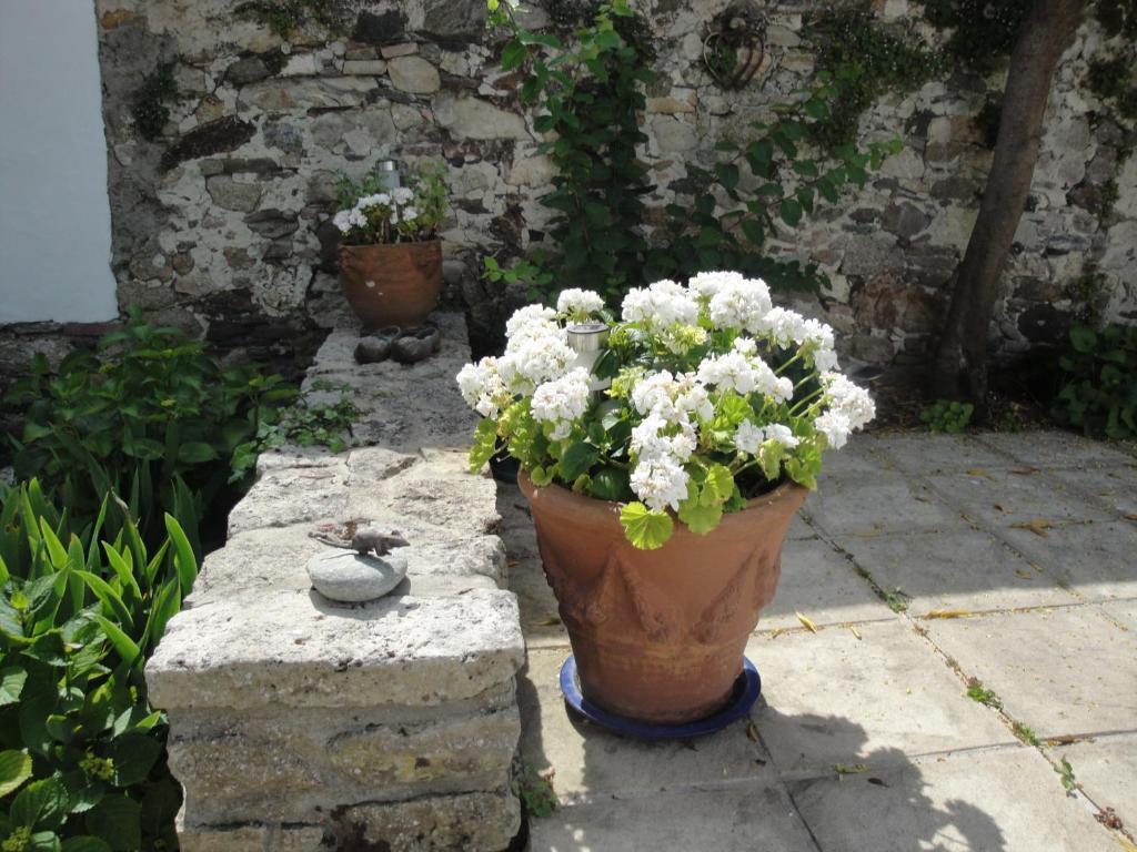Le Buzet Bleu Bed & Breakfast Noirmoutier-en-l'Ile Exterior photo